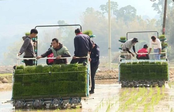 景东县现代农机“唱主角”  农业生产“加速跑”